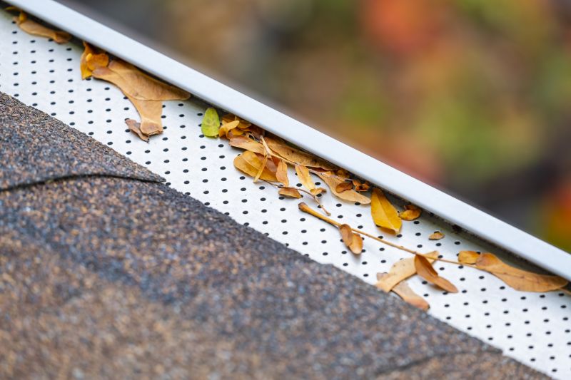 Gutter Guard Systems