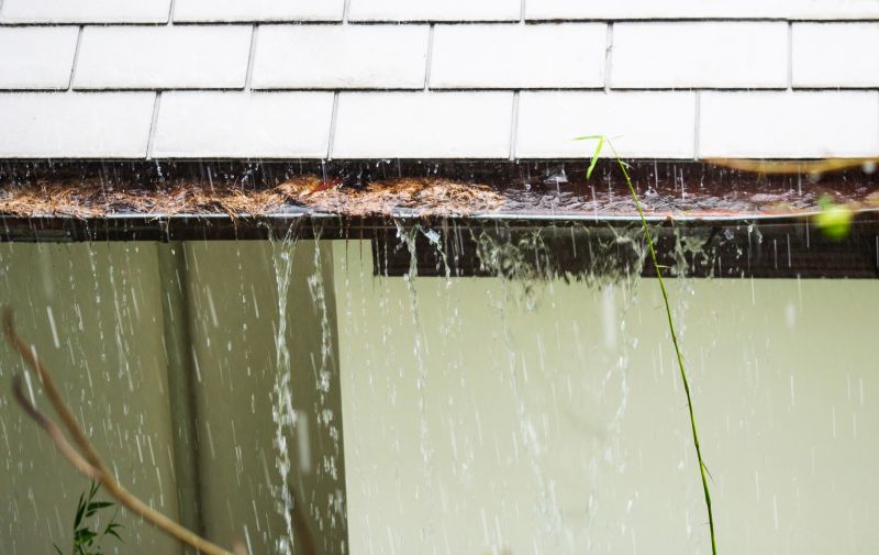 Clogged Gutter Maintenance